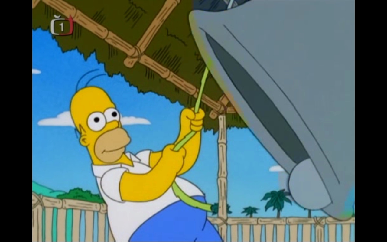sjety homer.jpg